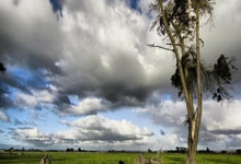 巴黎圣日耳曼客场大捷，扩大领先优势