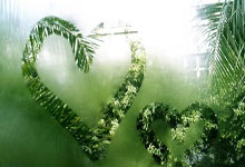 拜仁慕尼黑再掌胜券，雄风再起