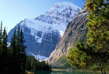 福建队在比赛中占据优势：节奏与智慧的双重奏