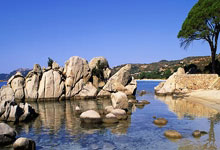 南非足球比赛成绩：实力对抗场面深受观众欢迎！